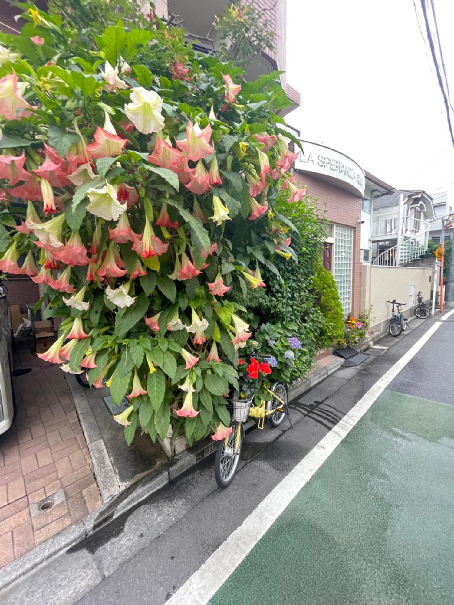 新宿庭院の屋-Shinjuku Garden Home -28 Square Meters King Size Bed Garden Room Tokió Kültér fotó