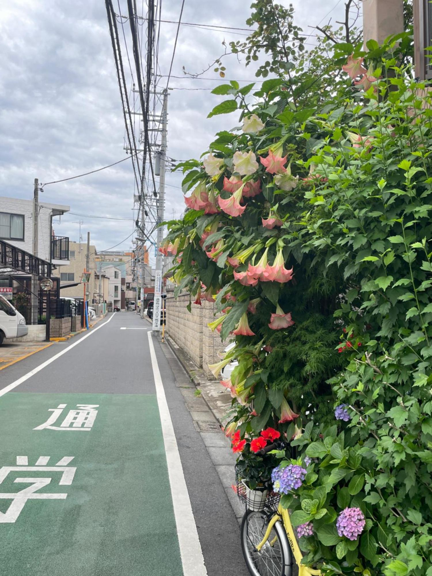 新宿庭院の屋-Shinjuku Garden Home -28 Square Meters King Size Bed Garden Room Tokió Kültér fotó