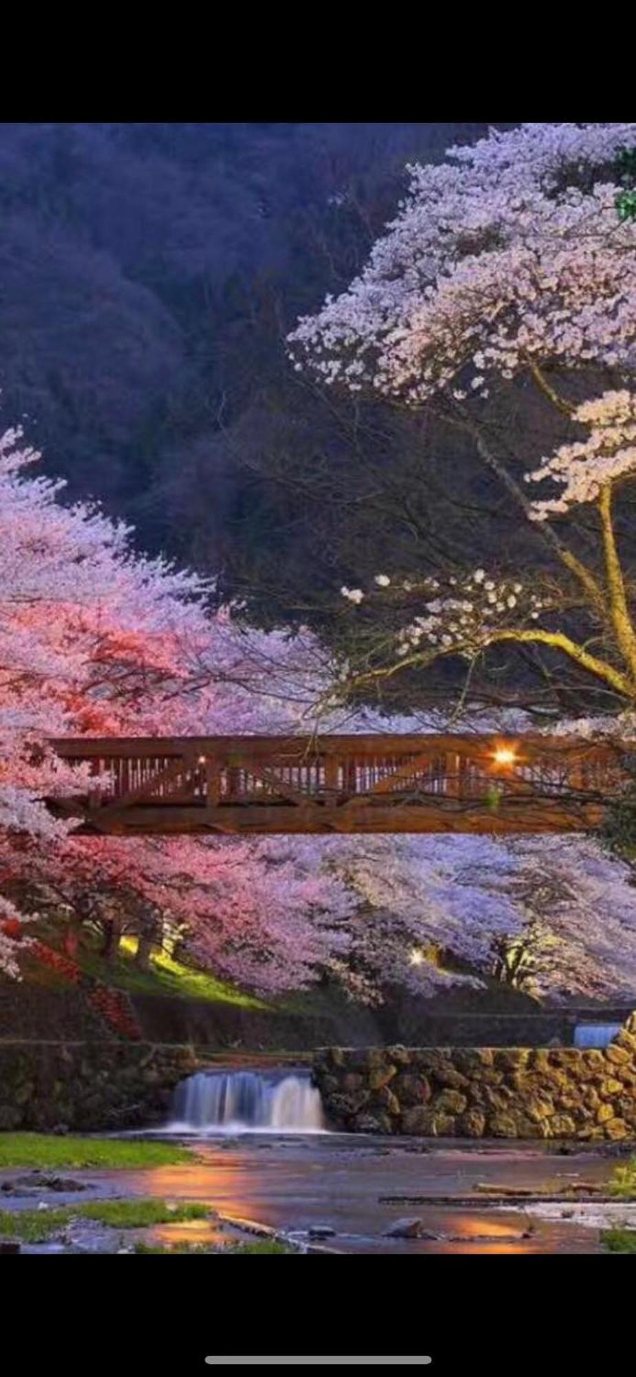 新宿庭院の屋-Shinjuku Garden Home -28 Square Meters King Size Bed Garden Room Tokió Kültér fotó