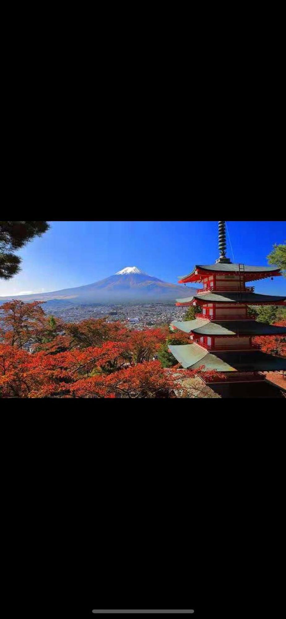 新宿庭院の屋-Shinjuku Garden Home -28 Square Meters King Size Bed Garden Room Tokió Kültér fotó